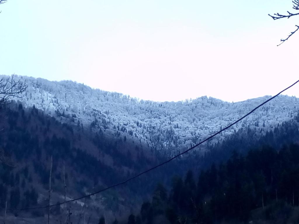 Guest House Mindia room 5